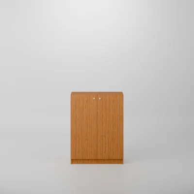 Bambu hover